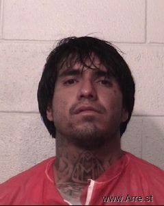 Michael Gonzales Arrest
