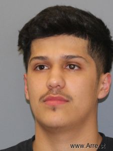 Michael Rodriguez Arrest