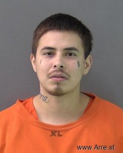 Mikael Sanchez Arrest