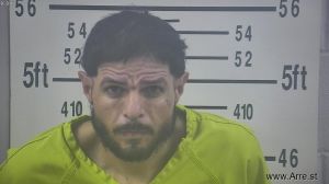 Nicolas Gonzalez Arrest Mugshot