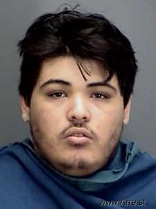 Nicholas Delgado Arrest Mugshot