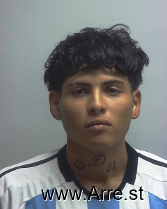 Paulo Barahona Arrest Mugshot