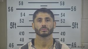 Rojelio Quintanilla Arrest