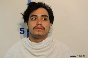 Roberto Hernandez Jr Arrest Mugshot
