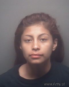 Rosemary Mendez Arrest Mugshot