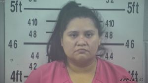 Samanta Guajardo Arrest Mugshot