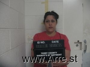 Samantha Castillo Arrest Mugshot