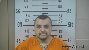 Santiago Lamas Iv Arrest Mugshot