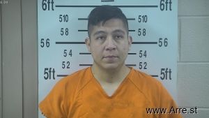 Sergio Lara Arrest Mugshot