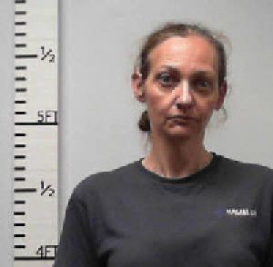 Sarah Carlin Arrest Mugshot