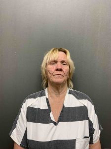 Sarah Fowler Arrest Mugshot