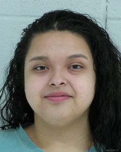 Stephanie Salinas Arrest Mugshot