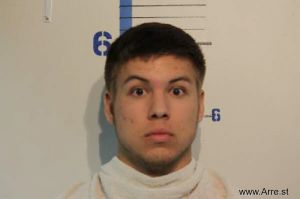 Stephen Nagy Arrest Mugshot