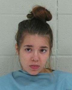 Susan Adermann Arrest Mugshot