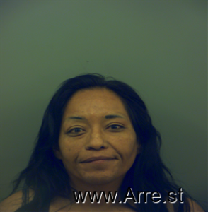 Sylvia Granillo Arrest Mugshot
