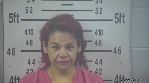 Tina Holford Arrest Mugshot