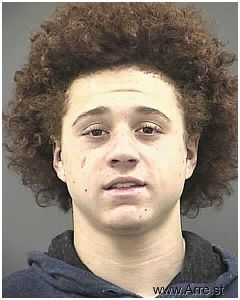 Trentin Willis Arrest Mugshot