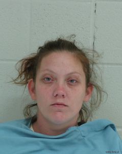 Tara Hearn Arrest Mugshot