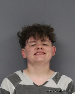 Tyler Maloney Arrest
