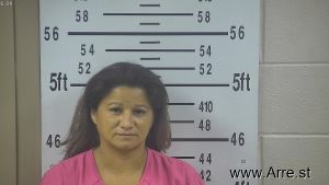 Yvonne Peralez Arrest Mugshot