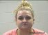 AMANDA LEE  Arrest Mugshot Polk 07-21-2014