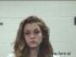 KATRINA BARNES  Arrest Mugshot Polk 04-15-2013