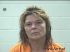 PATRICIA COLEMAN  Arrest Mugshot Polk 12-20-2012