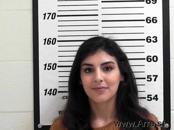 Alyssa Michelle Fowler Mugshot