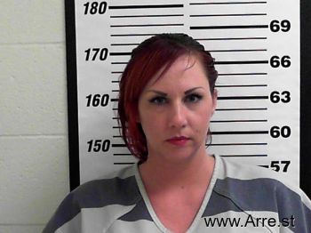 Amanda Lee Anderson Mugshot