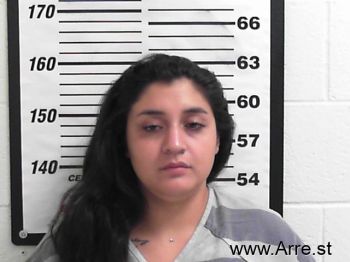 Ashley  Castellanos Mugshot