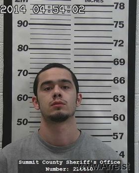 Brandon Michael Schooling Mugshot