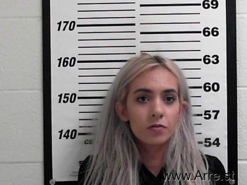 Brett Ann Jenkins Mugshot