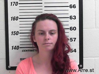 Casey Lynne Anderson Mugshot