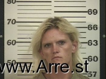 Crystal Ann Nicholas Mugshot