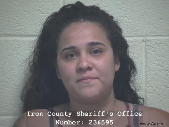 Damariz Ilda Yeverino Mugshot