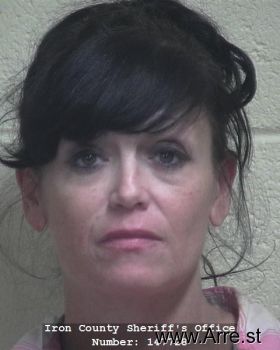 Dana Lynn Lundgren Mugshot