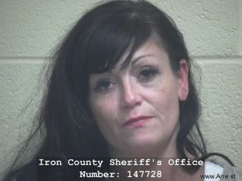 Dana Lynn Lundgren Mugshot