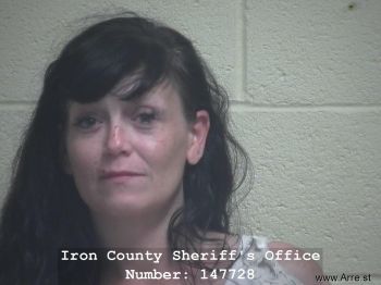 Dana Lynn Lundgren Mugshot