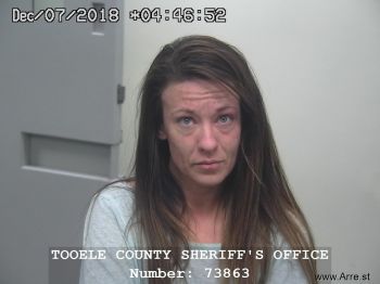 Danielle Erin Johnson Mugshot