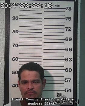 David Ricardo Yepez-perez Mugshot