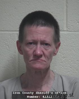 Denise Ann Mcginnis Mugshot