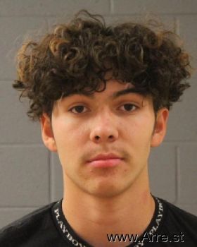 Diego  Sanchez-nava Mugshot