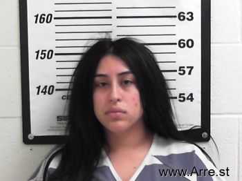 Elizabeth  Herrera Mugshot