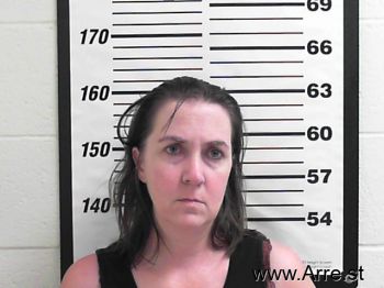 Erin Lynne Moore Mugshot