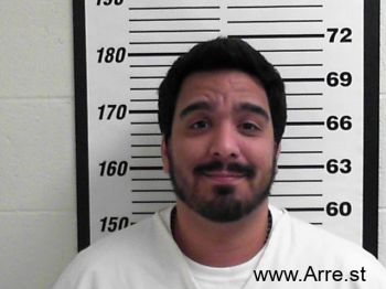 Jesse Roberto Danielsson Mugshot