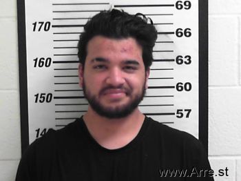 Josh  Aird-mandurino Mugshot