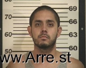 Juan Martin Melgarejo-herrera Mugshot