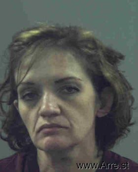 Julie Ann Roemer Mugshot