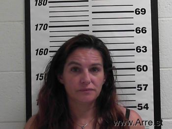 Lisa  Gillett Mugshot