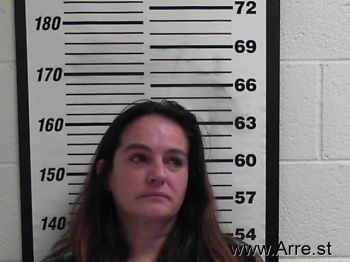 Lisa Michelle Gillett Mugshot